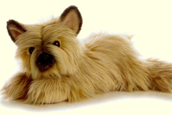 cairn terrier stuffed toy