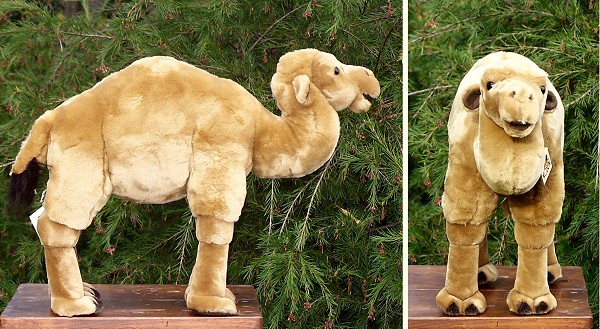 Stuffed Plush Dromedary Camels from Kosen