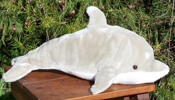 dolphin teddy