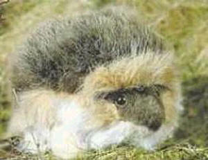 Hansa Stuffed Plush Baby Hedgehog