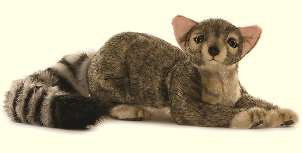 ringtail cat stuffed animal